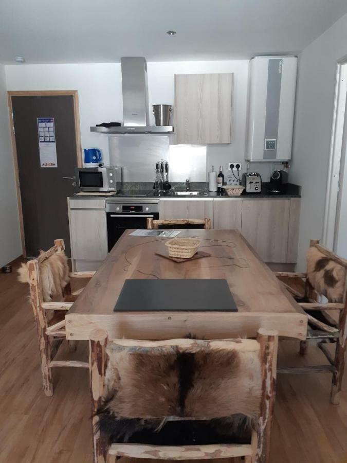 Le Grizzly Luxe Location Apartment